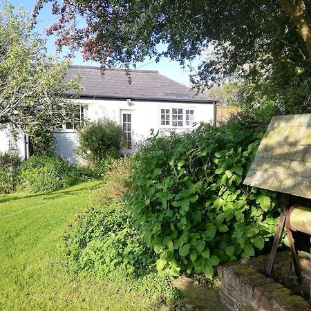 نيوكويي Cozy Country Cottage With Beautiful Rural Views المظهر الخارجي الصورة