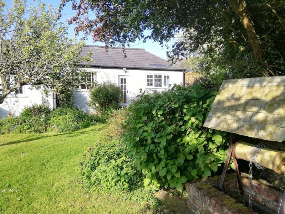 نيوكويي Cozy Country Cottage With Beautiful Rural Views المظهر الخارجي الصورة